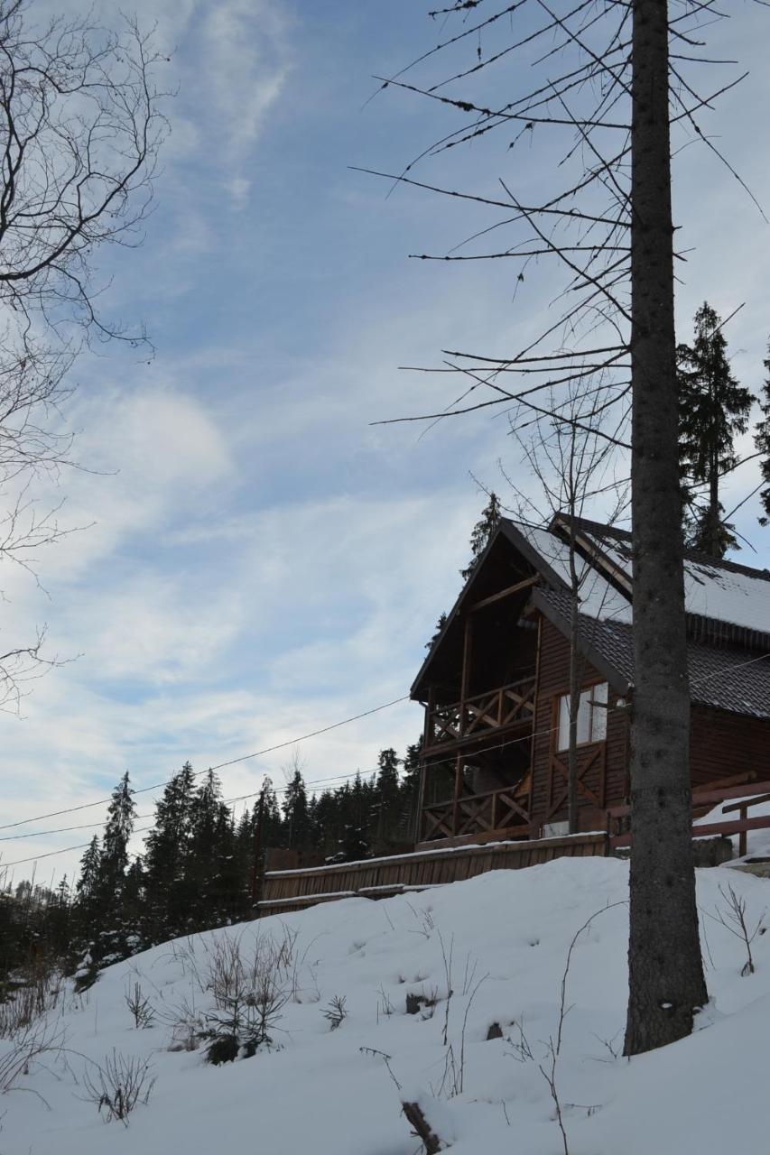 Chalet Shepit Karpat Bukowel Exterior foto